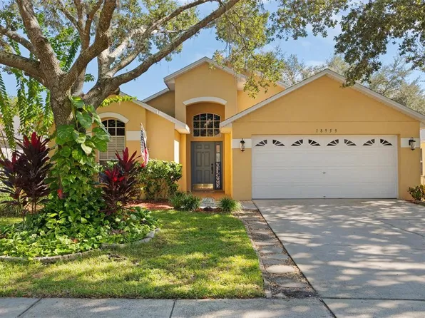 18959 Wood Sage Dr, Tampa, FL 33647