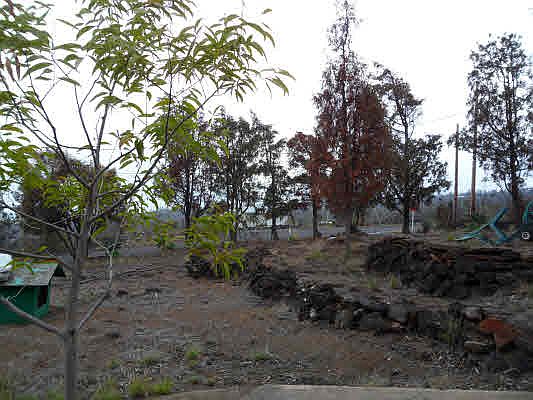 1st image of Pineapple Pkwy Lot 6