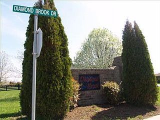 5th image of 1043 Diamond Brook Dr