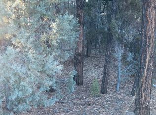 3891 W Old Linden Rd, Show Low, AZ 85901