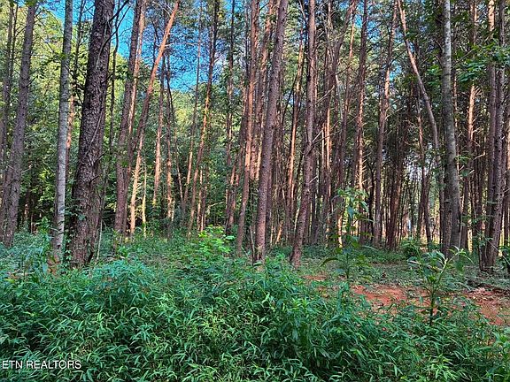 2nd image of 100 County Road 262 Lot 4