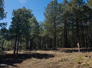 1080 POND Circle #890, Forest Lakes, AZ 85931