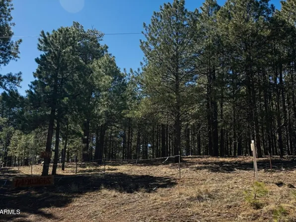 1080 POND Circle #890, Forest Lakes, AZ 85931