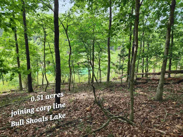 11 Cardinal Ter, Bull Shoals, AR 72619