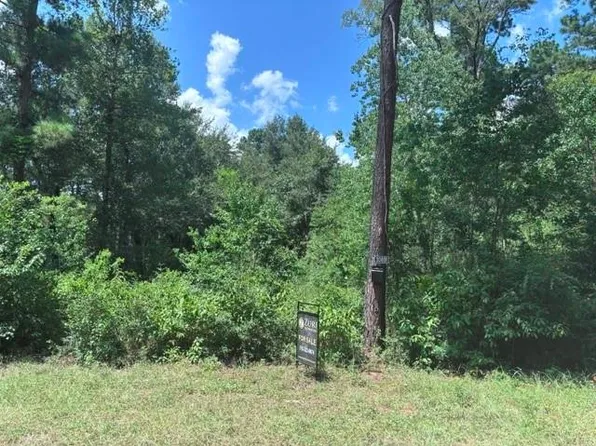 30651 S Walnut Creek Dr, Waller, TX 77484