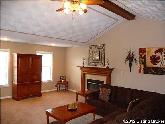 Gas logs in the fireplace.