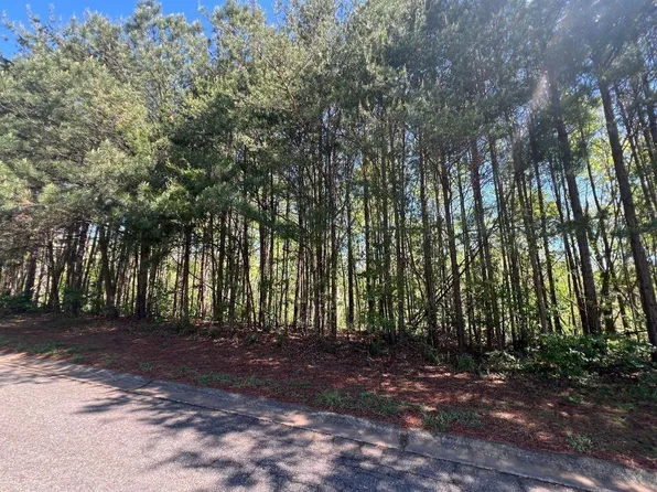 922 Whistler Ln Lot 67, Canton, GA 30114