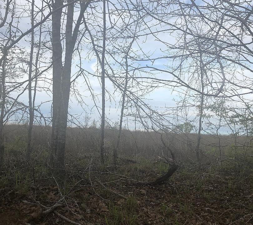 1st image of Crabapple Dr