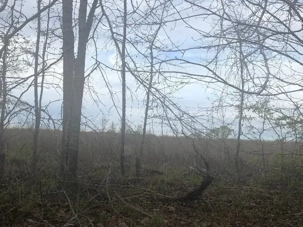 Crabapple Dr, Hawkinsville, GA 31036