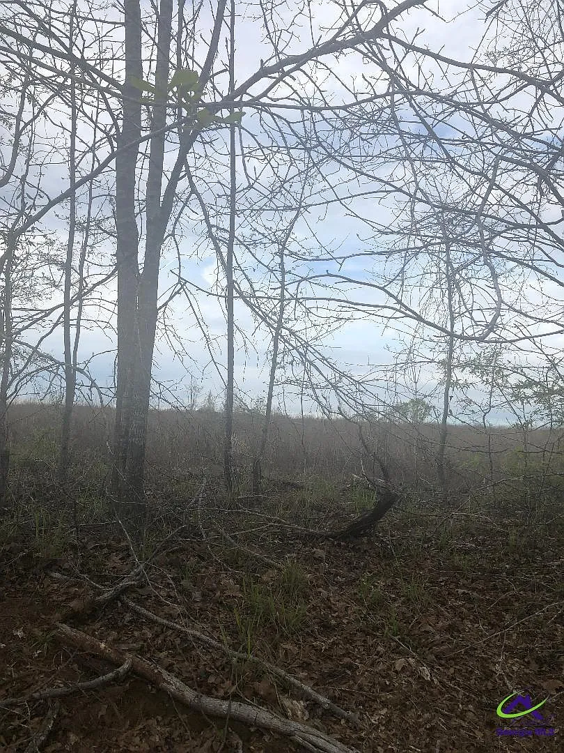 Crabapple Dr photo 1