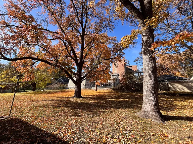 Big back yard with mature trees.