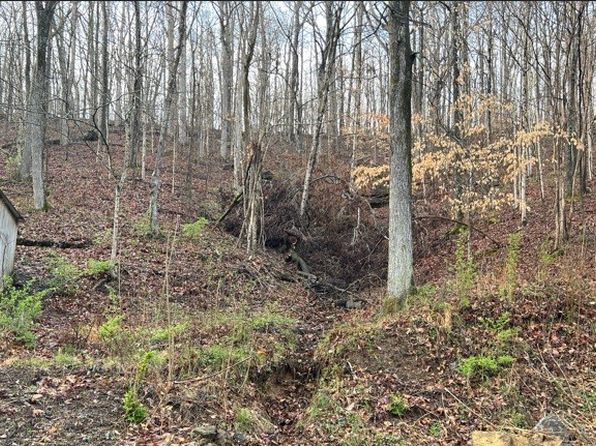 3678 Bear Hollow Rd, Whites Creek, TN 37189
