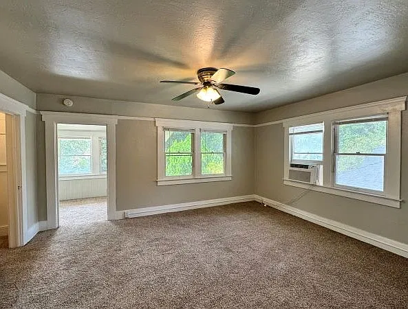 Living/Bedroom Area