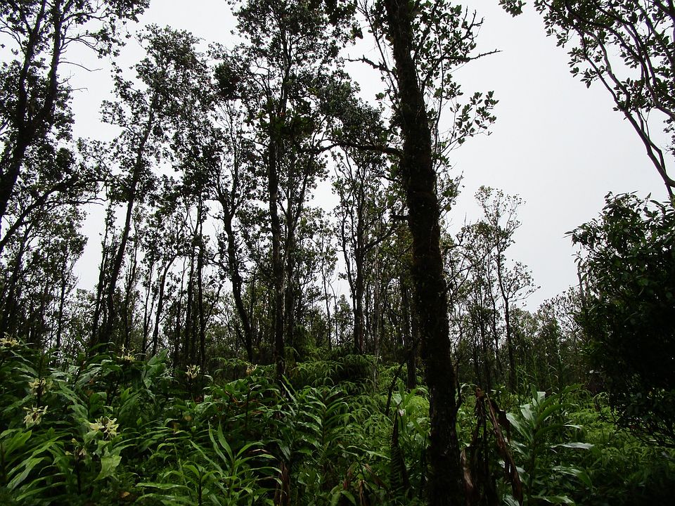 2nd image of Kokokahi Rd Lot 28