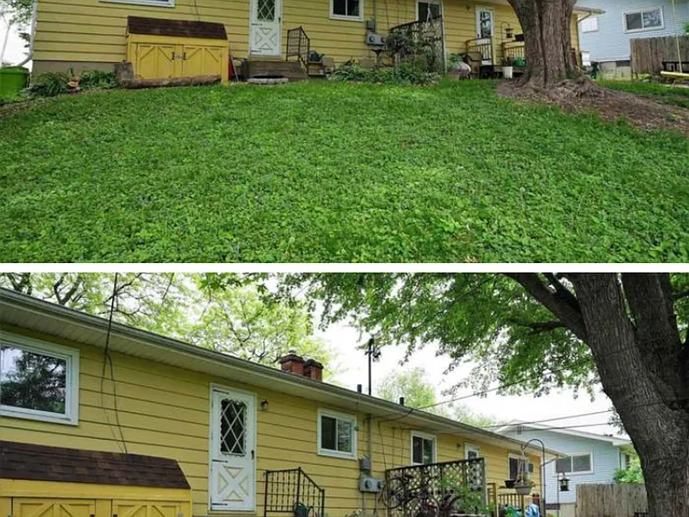4923 Camden Rd — Photo 2