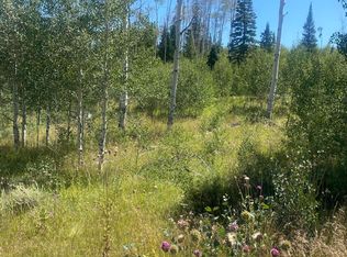 586 Clairs Run, Parshall, CO 80468