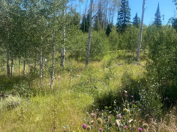 586 CLAIRS RUN, Parshall, CO 80468