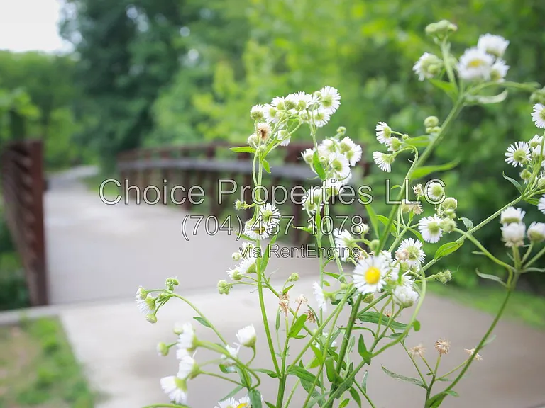9148 Hillston Ridge Rd — Photo 16