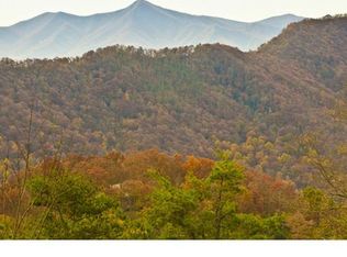 77 Jerome Ln, Leicester, NC 28748