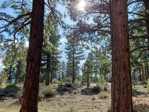 125 E Willis Ln, Reno, NV 89511