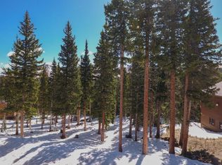 34 Camron Ln, Breckenridge, CO 80424