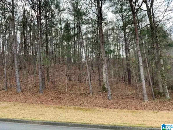 222 Quail Ridge Rd, Helena, AL 35080