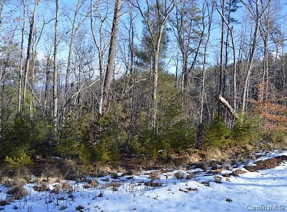 4th image of 49 Eagle Bald Trl