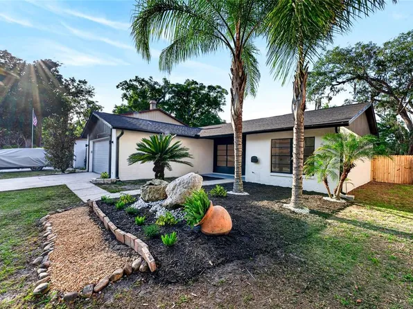 14841 Oak Vine Dr, Lutz, FL 33559