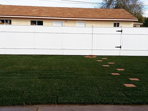Back yard