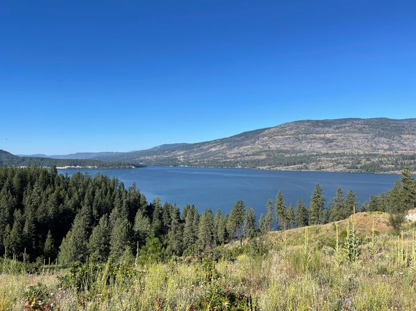 16XX Pingston Creek Rd, Kettle Falls, WA 99141