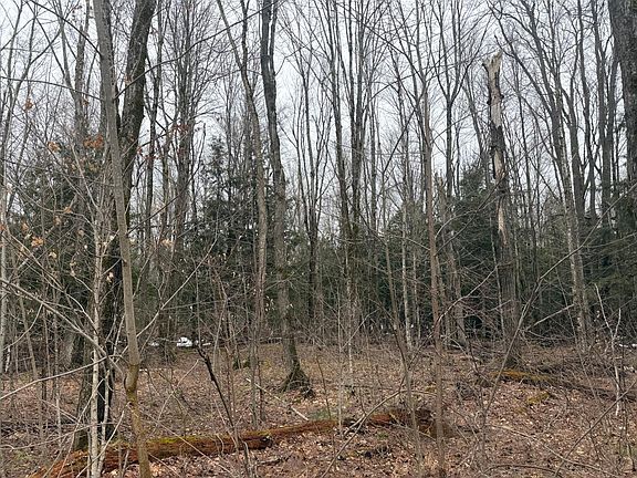 5th image of Unit Chaney Lake Rd #18