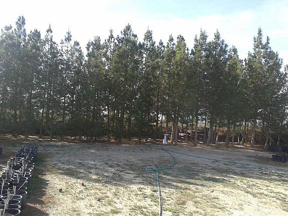 5th image of 47880 Bedford Dr
