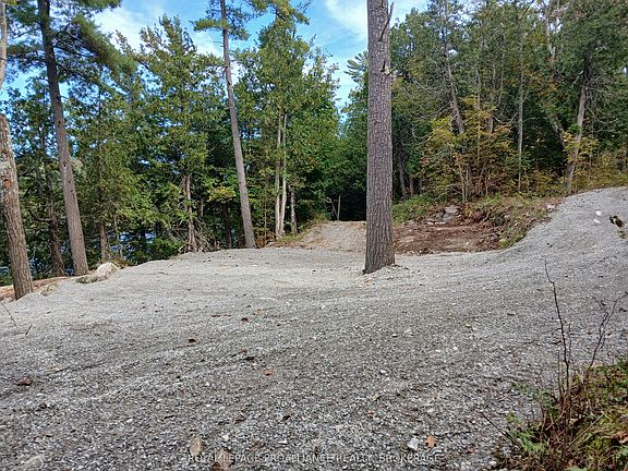4th image of 925 Lodge Ln