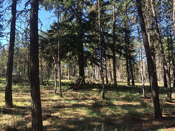 3rd image of Leaning Pine Ln