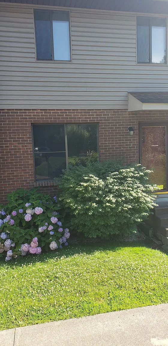 203 Walker Dr photo 1