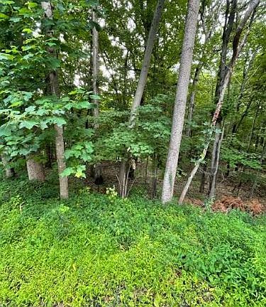4th image of 2918 Jackson Dr