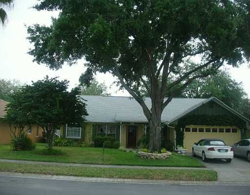 Main View