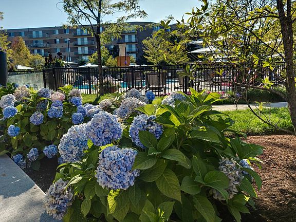 5th image of 2111 Acacia Park Dr #Bc28e9cb4