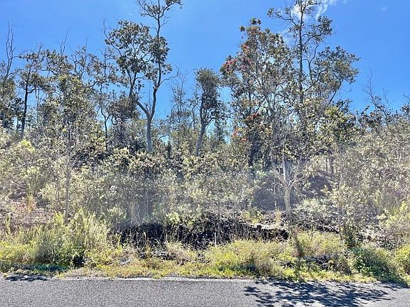 3rd image of 92-9250 Orchid Pkwy Lot 21
