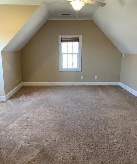 1113 Abby Dr — Photo 26