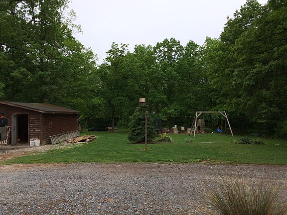 Back yard