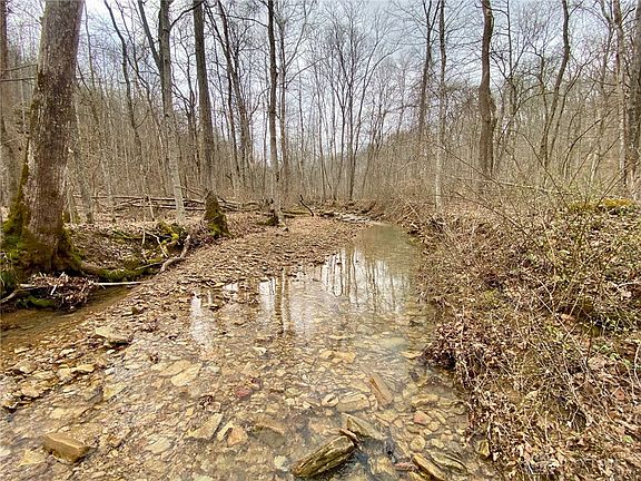 5th image of 20 Beech Fork Rd