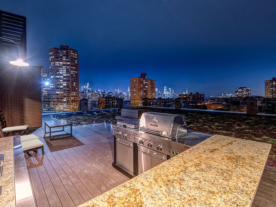 Greenroof NY View