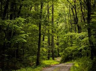 23 Mountain Tea Ln, Alexander, NC 28701