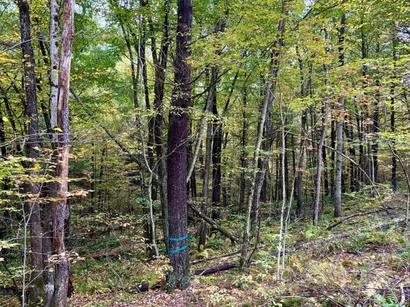 1 Beech Creek Mountain Rd, Beech Creek, PA 16822