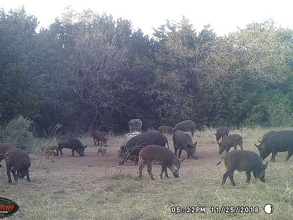 3rd image of 1527 Old Coleman Hwy