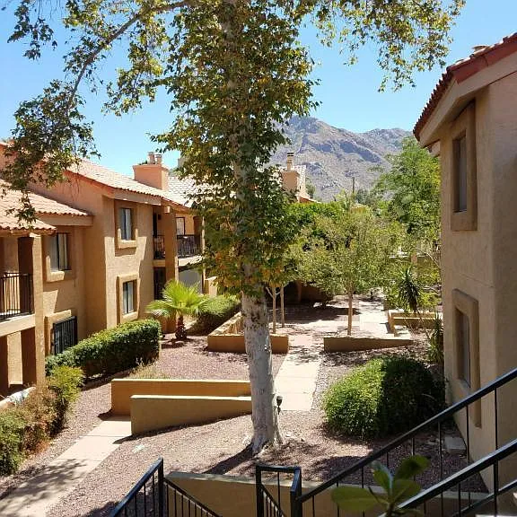 8255 N Oracle Rd #210 — Photo 4