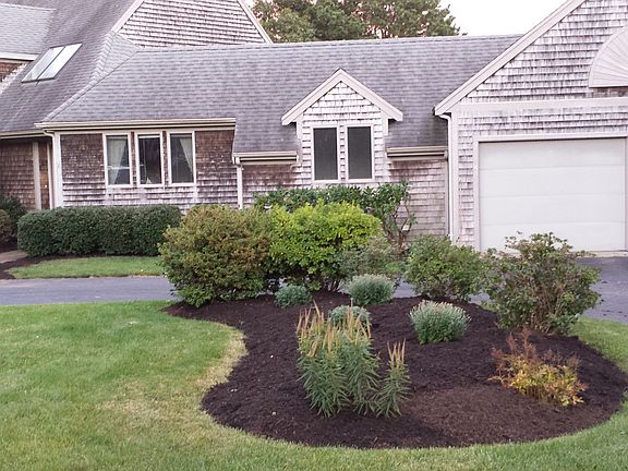 front yard 2