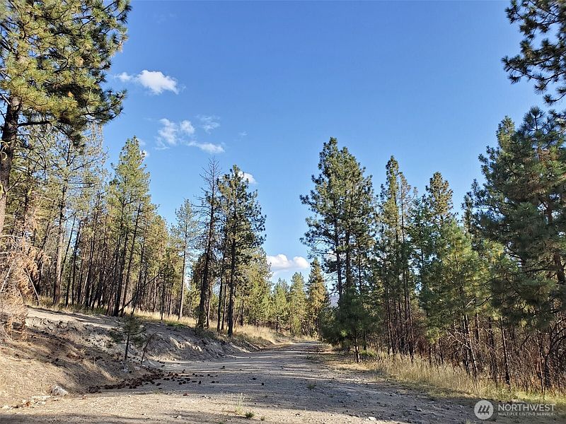 5th image of 0 Long Horn Trail
