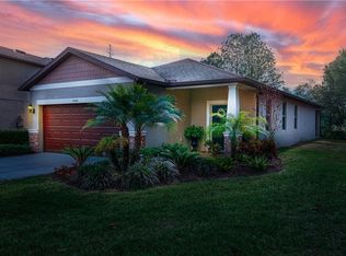 4342 O Rourke Ct, Wesley Chapel, FL 33543